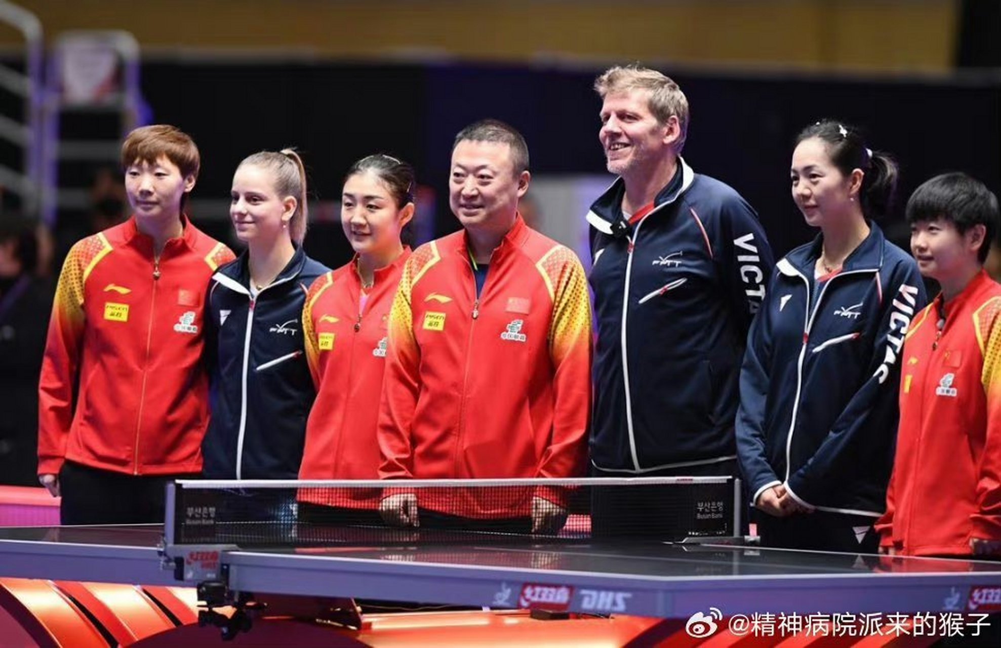 印度队绝杀法国队，马琳关键制胜的简单介绍